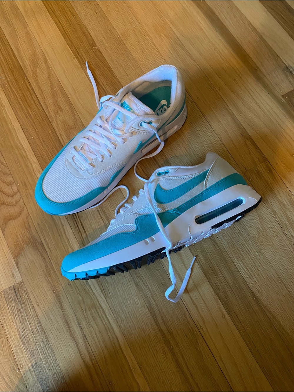 NEW Nike Air Max 1 '86 OG Golf Big Bubble - Dusty Cactus